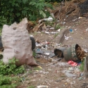 Afval in Baguio
