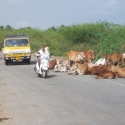 snelweg in India