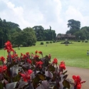Botanische tuin, Bogor