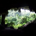 De Niah Caves
