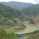 Rijstterrassen onderweg naar Bontoc