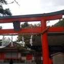 Tempel in Kyoto